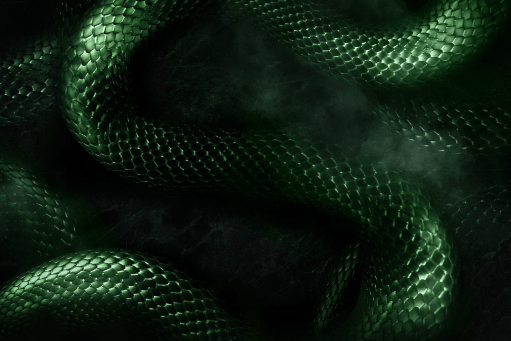 A Celebration of Slytherin | Warner Bros. Studio Tour London - Official