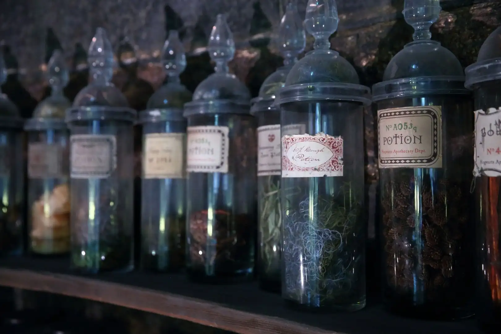Potions Classroom - Labelled potion bottles on a dark wooden shelf