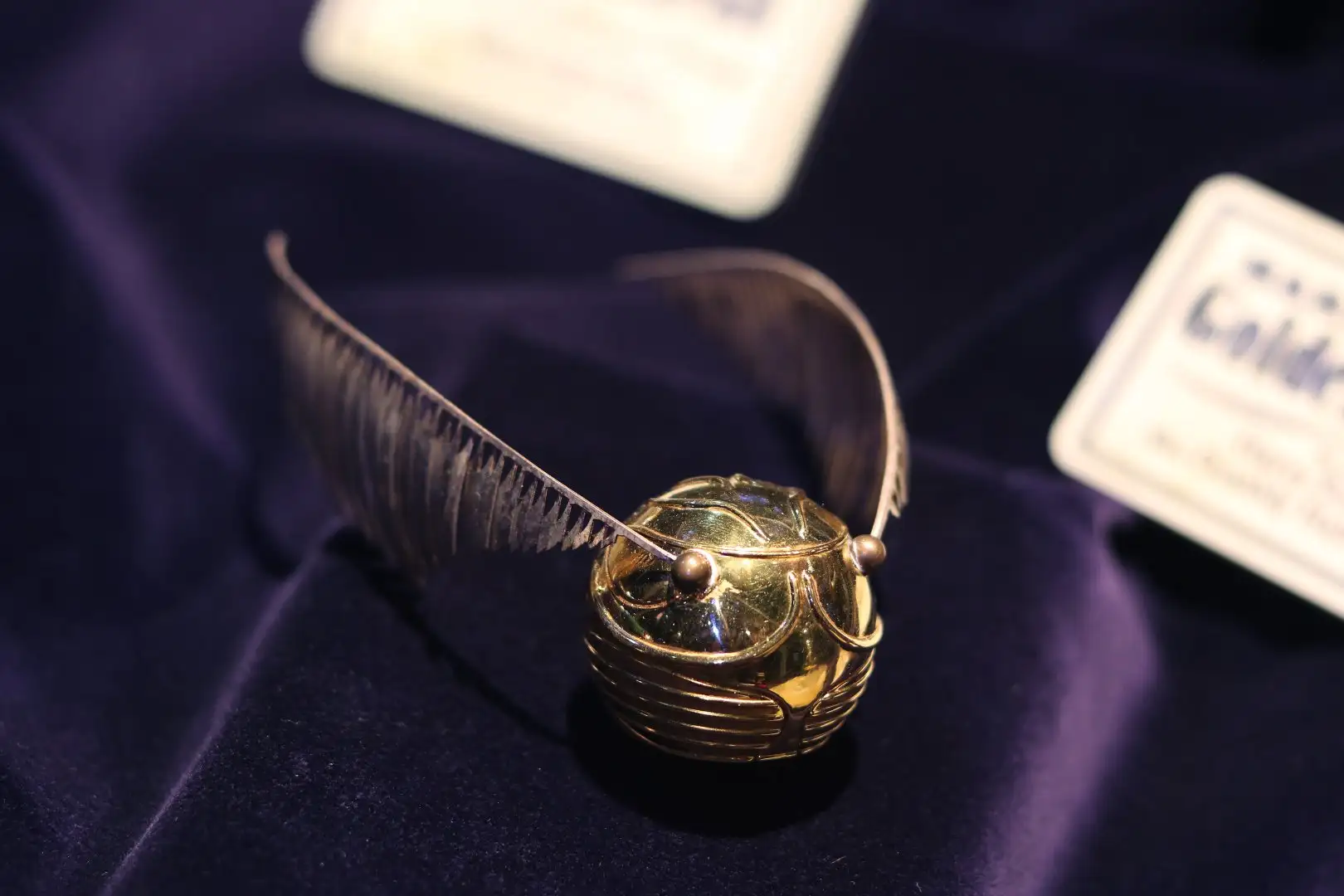 The Golden Snitch from Harry Potter and the Philosopher's Stone.