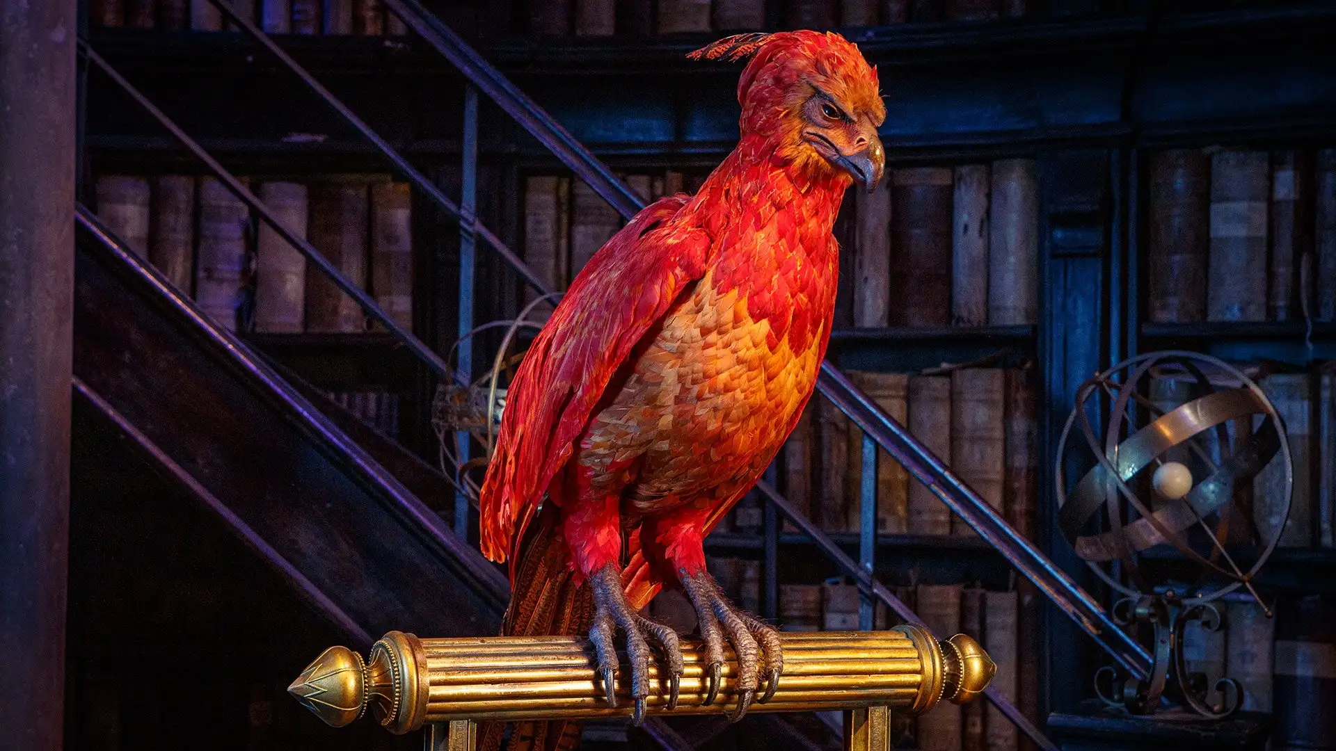 Fawkes in the Dumbledore's office set at Warner Bros. Studio Tour London