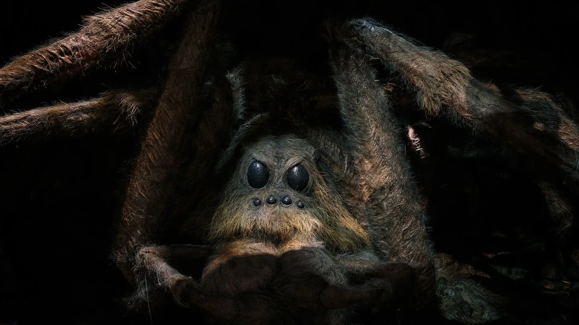 Aragog in the Forbidden Forest set