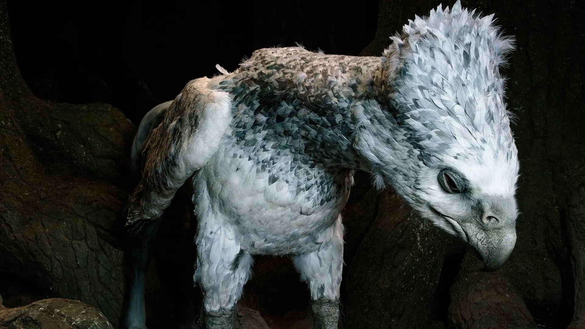 Buckbeak in the Forbidden Forest set