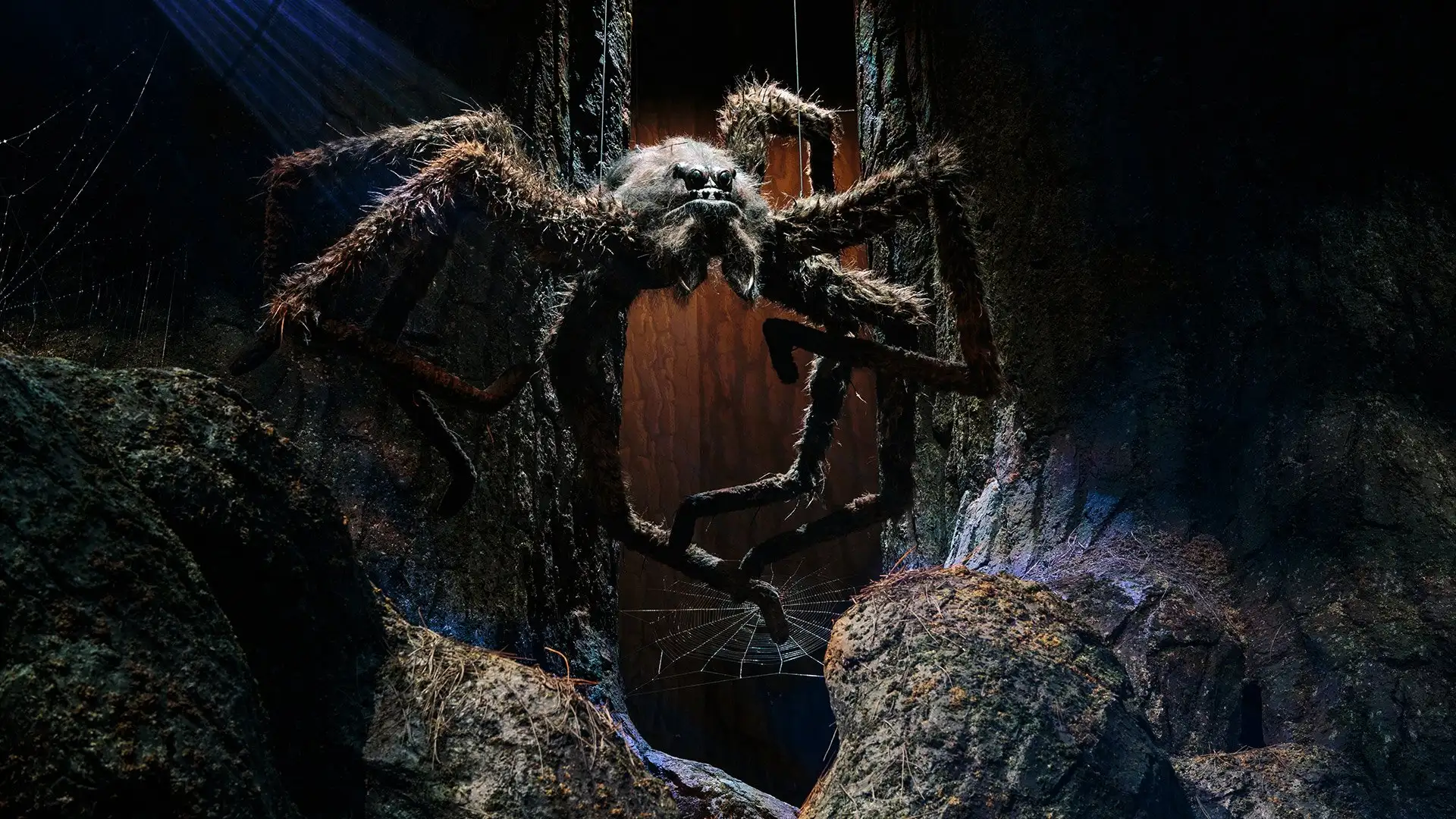 The Forbidden Forest set